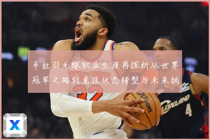 辛杜羽毛球职业生涯再探析从世界冠军之路到竞技状态转型与未来挑战-深度解析