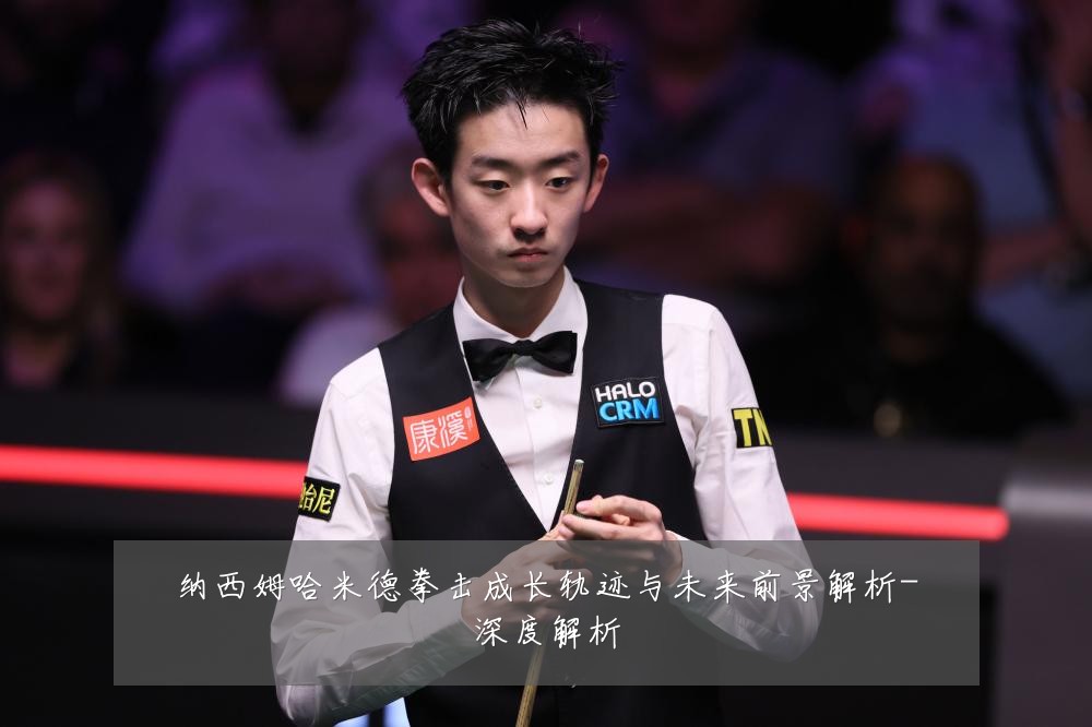 纳西姆哈米德拳击成长轨迹与未来前景解析-深度解析