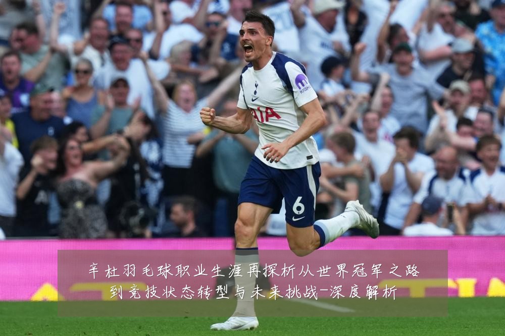 辛杜羽毛球职业生涯再探析从世界冠军之路到竞技状态转型与未来挑战-深度解析