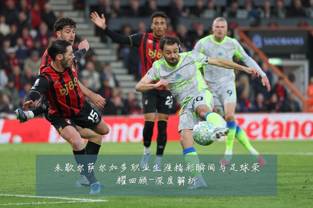 米歇尔萨尔加多职业生涯精彩瞬间与足球荣耀回顾-深度解析