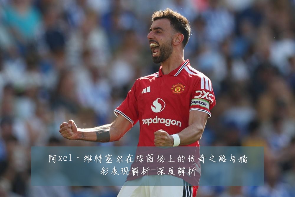 阿xel·维特塞尔在绿茵场上的传奇之路与精彩表现解析-深度解析