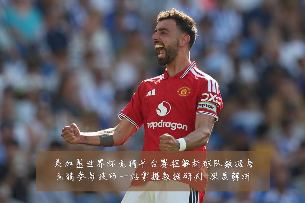 美加墨世界杯竞猜平台赛程解析球队数据与竞猜参与技巧一站掌握数据研判-深度解析